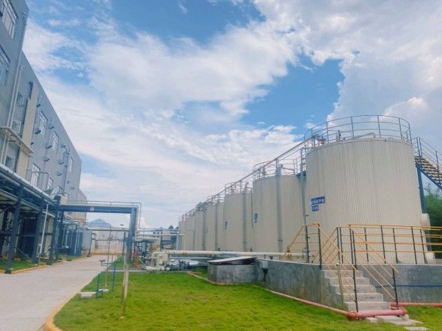 Xiamen WangQin Chemical Technology Co., Ltd. manufacturer production line